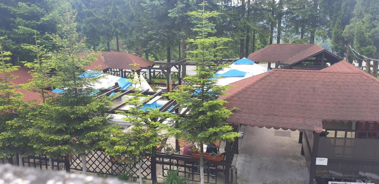 Hotel Bucegi Portile Regatului Paraul Rece Exterior photo
