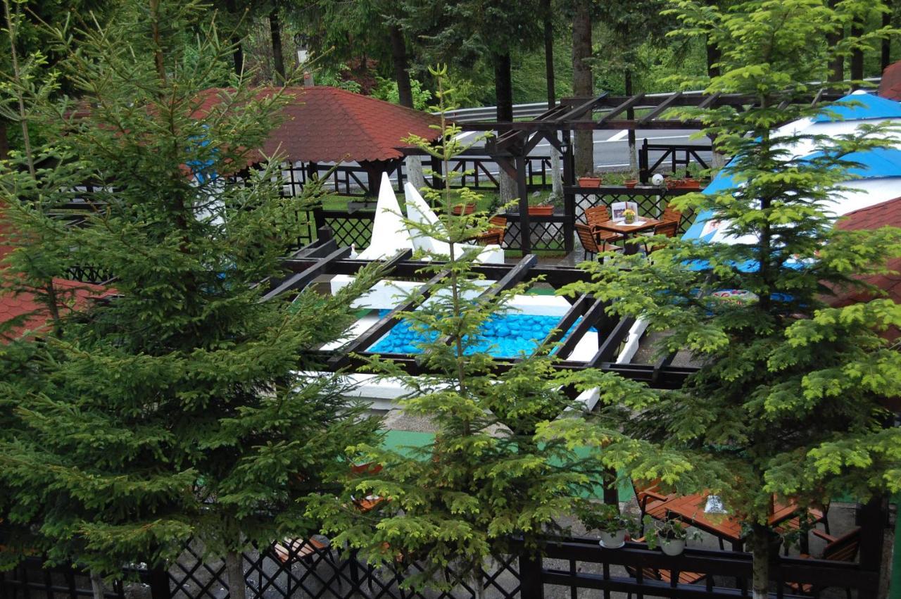 Hotel Bucegi Portile Regatului Paraul Rece Exterior photo